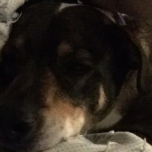 Meet your Posher, Tammy